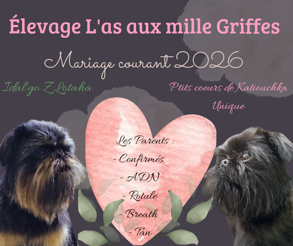 🐾 Mariage prévu courant 2026 ❤ 