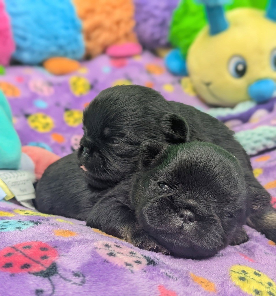 bébé disponible 