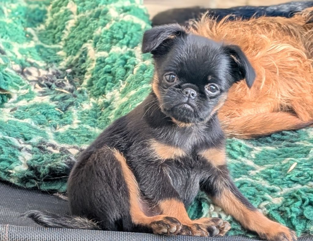 bébé disponible 